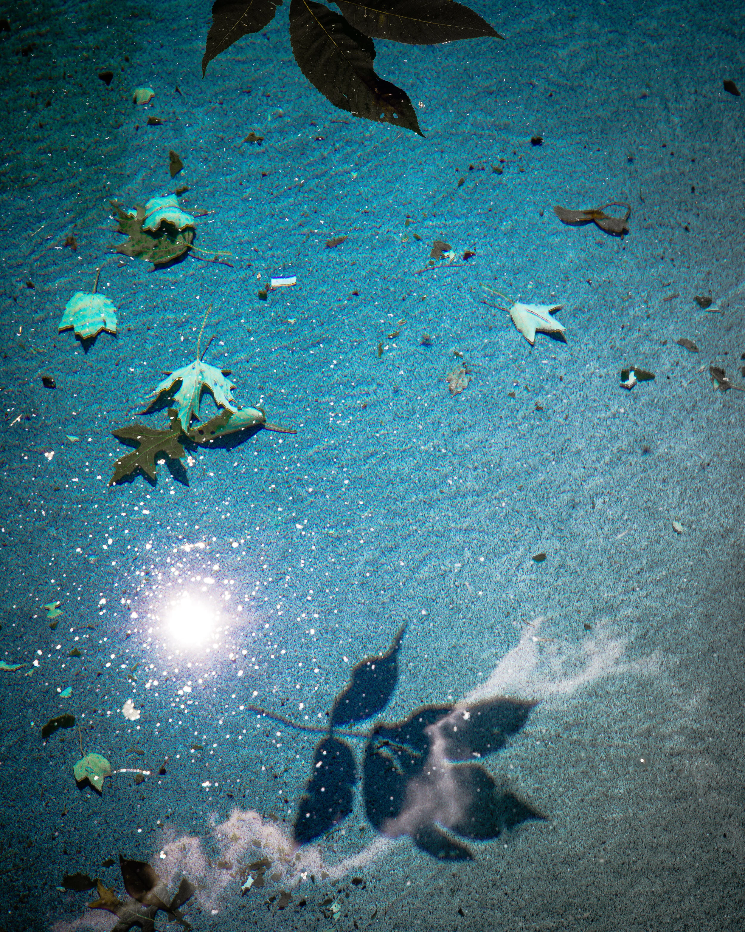 TomiraWilcox_RottenSummer_Summer2020 (1 of 1)-6.jpg