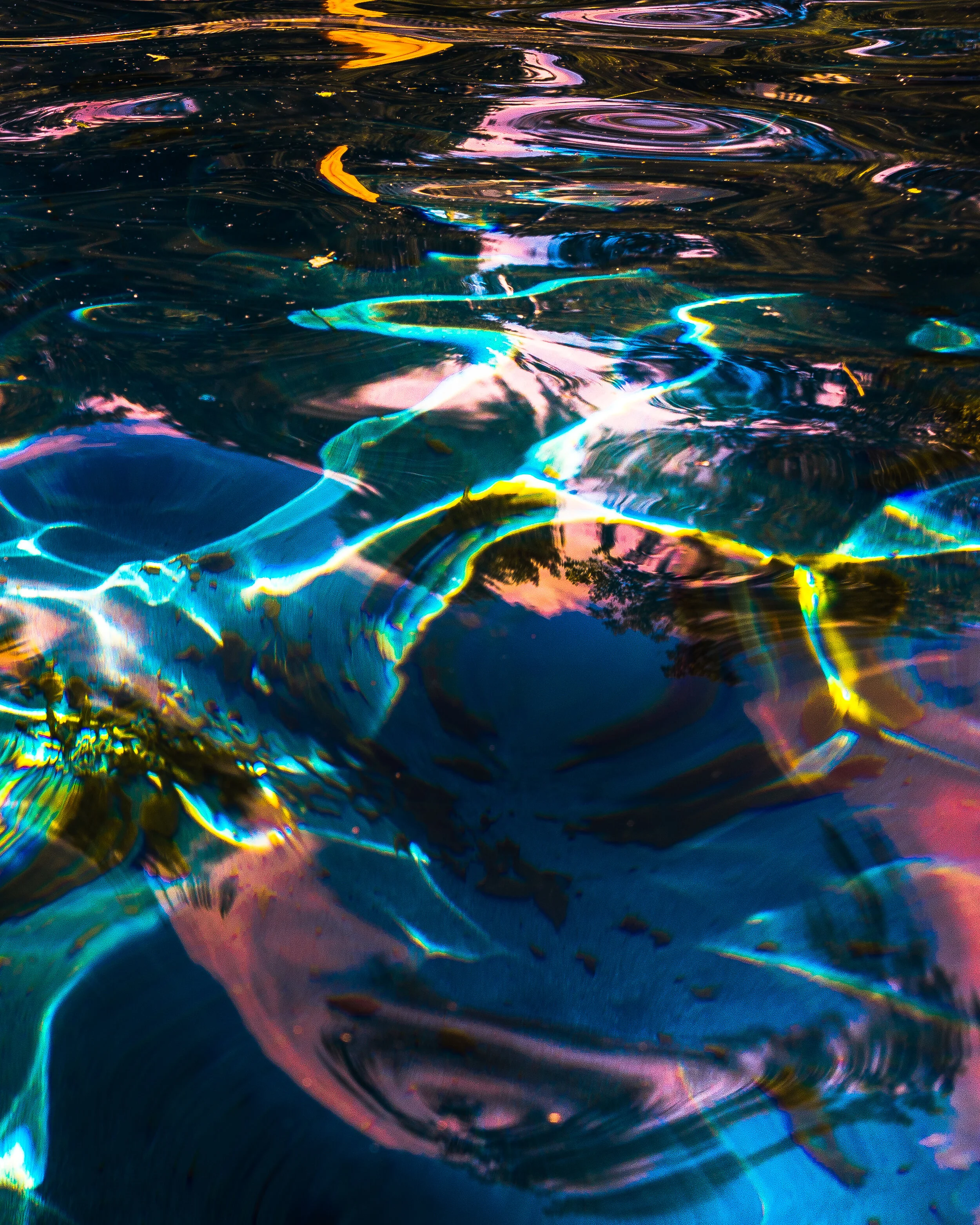 TomiraWilcox_RottenSummer_Swimmer2 (1 of 1)-10.jpg