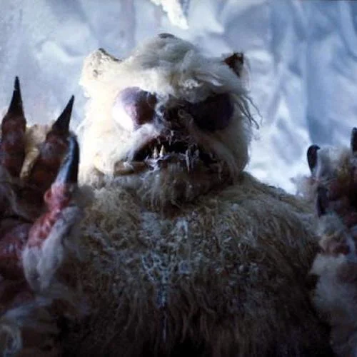 Episode 75 – Dog Sh!t
