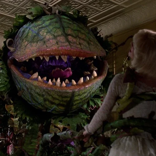 Little-Shop-of-Horrors 500x500.jpg