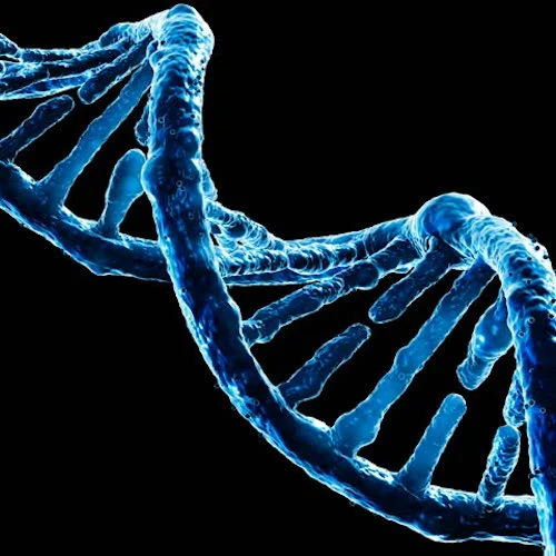 DNA 500x500.jpg