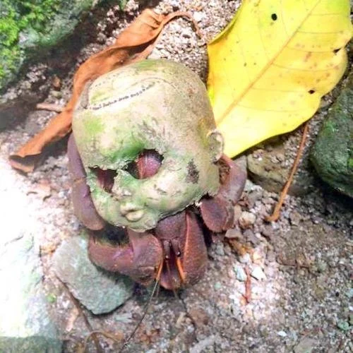 Episode 165 – Push the Button