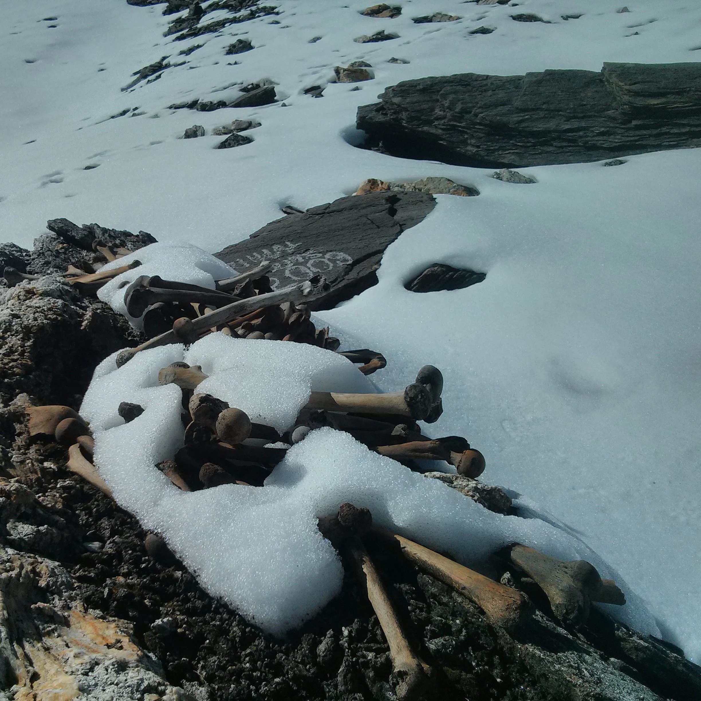 Episode 184 – I Know That You Twisted Again Like We Did Last Summer