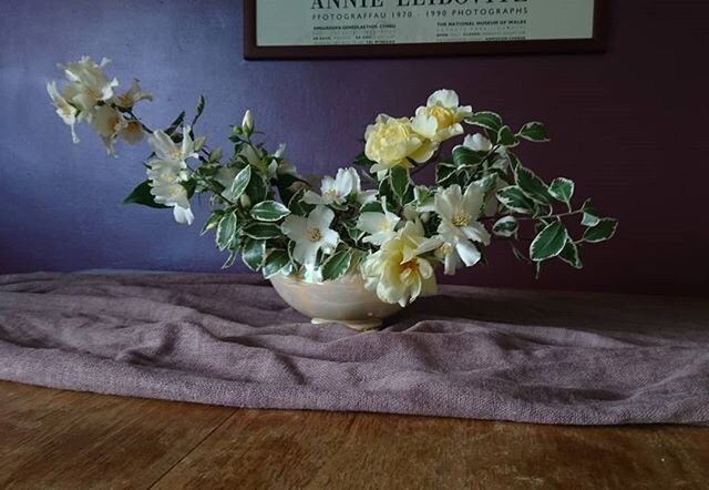 Loving this fragrant arrangement
.
.
.
Delicate yellow rose with mock orange
.
.
.
#fragrantcentrepiece
#freshsmellingroom
#delightyoursenses
#gardenshrubs
#quicksnip
#vaseofflowers
#urnarrangement
#constancespry
#freeflowing
#blowinginthewind
#pitto