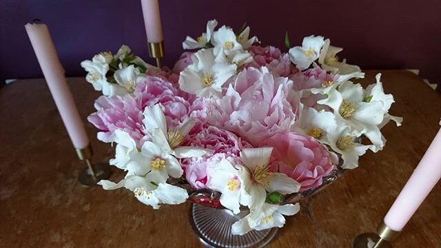 Bubblegum flavour - that's what this philadelphus fragrance reminds me of
.
.
.
Brim full
.
.
.
Footed glass dish, with floating pretty pink peonies, small pink rambling rose &amp; four petalled philadelphus which adds fantastic structure
.
.
.
#pink