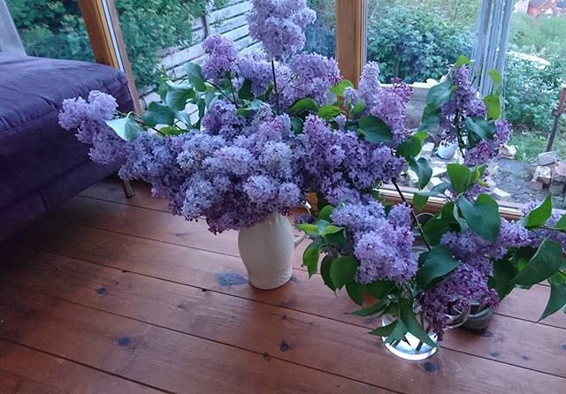 Can't wait to create something special for British Flowers Week 💐💚
.
.
.
.
House is like a building site, but it will look pretty with a splash of floral pizazz here n there, there n here
.
.
. .
#britishflowersweek
#britishflowerweek
#bristolflori