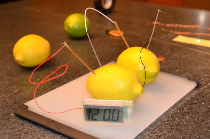 Lemon_battery_-_10_Feb._2013.jpg