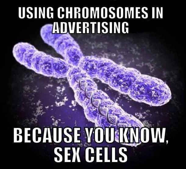 sexcells.jpg