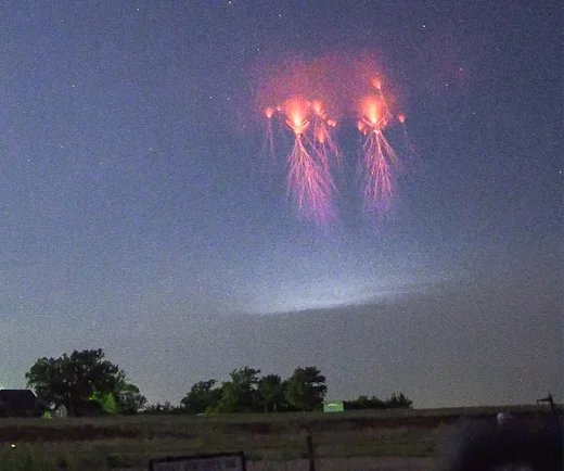 jellyfish sprites.jpg