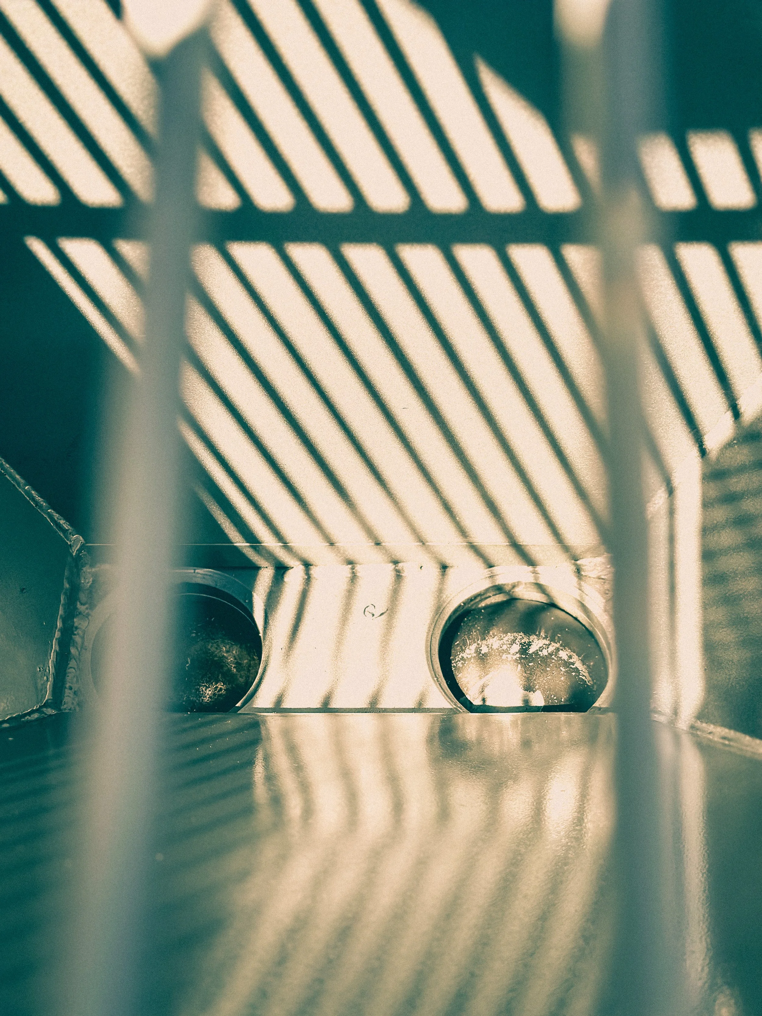 BV_35_ACTION_100323 (3).JPG