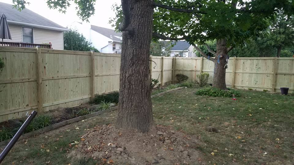 Wood Yard Fence