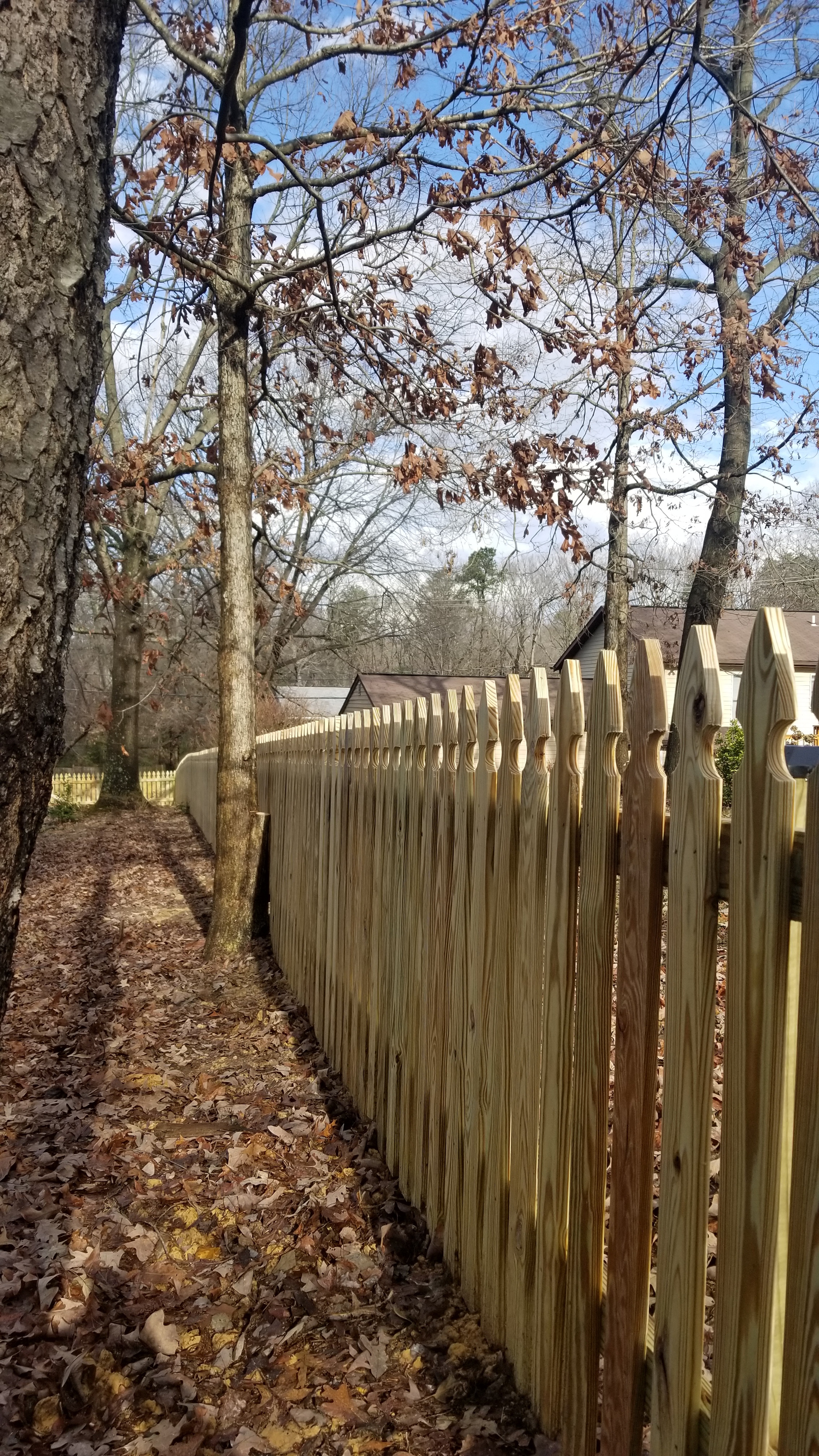 Wooden Fence