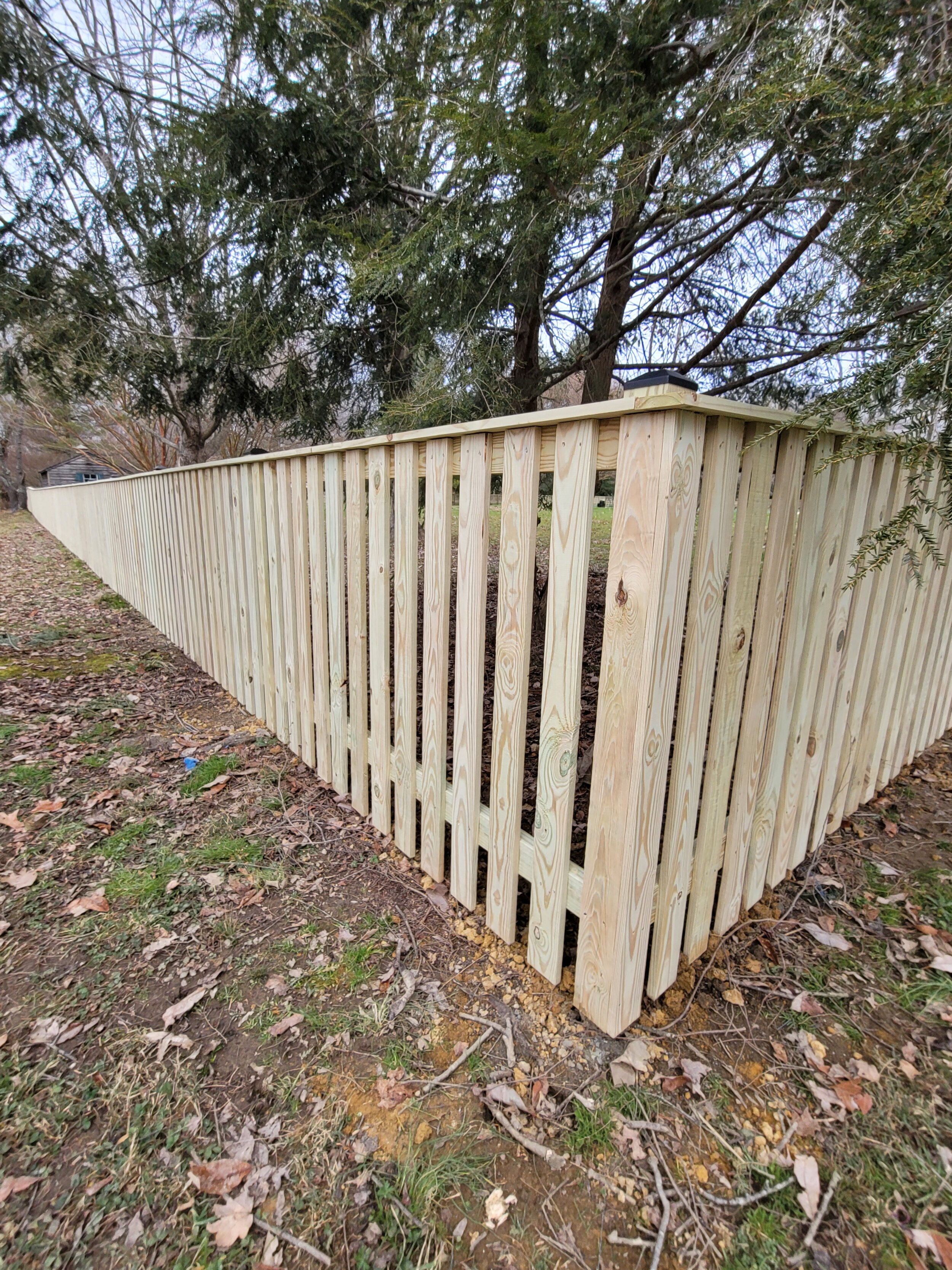 Wood Fence