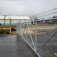 Chain Link Fence.jpg