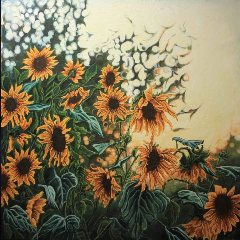 sunflower.jpg