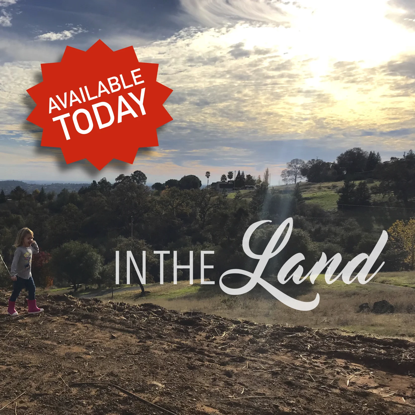 In the Land MAIN COVER.jpg