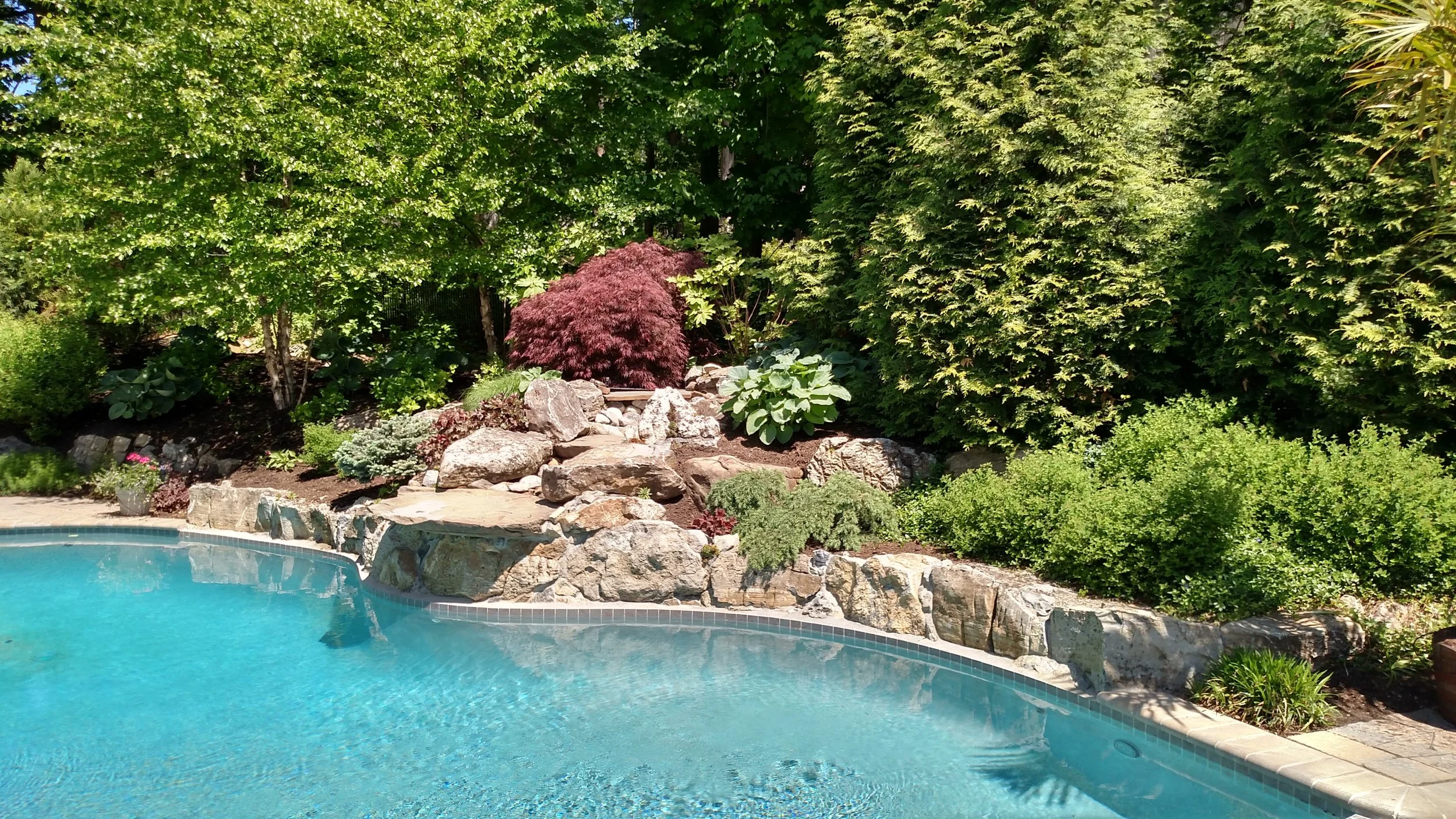 IMG_20150523_135955325_HDR.jpg