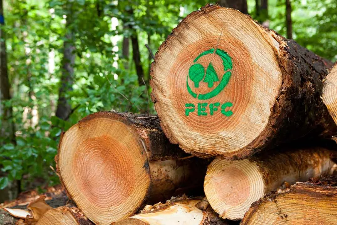 Sustainable wood and toys.jpg
