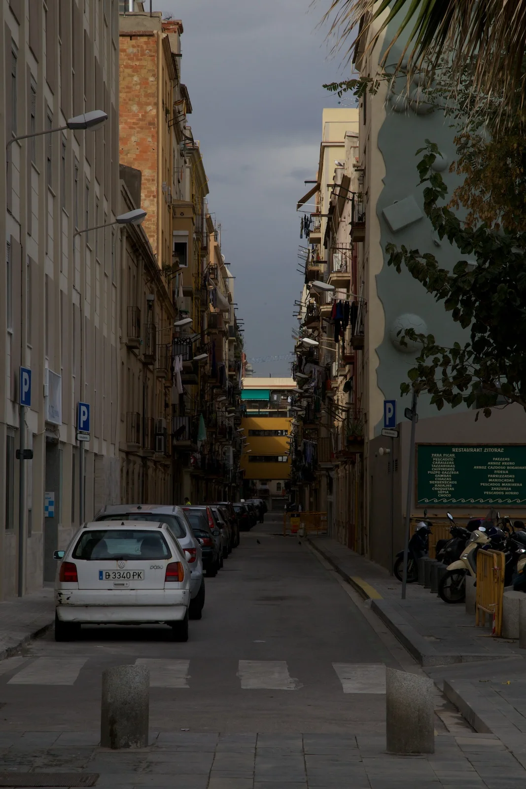 IMG_5518.jpg