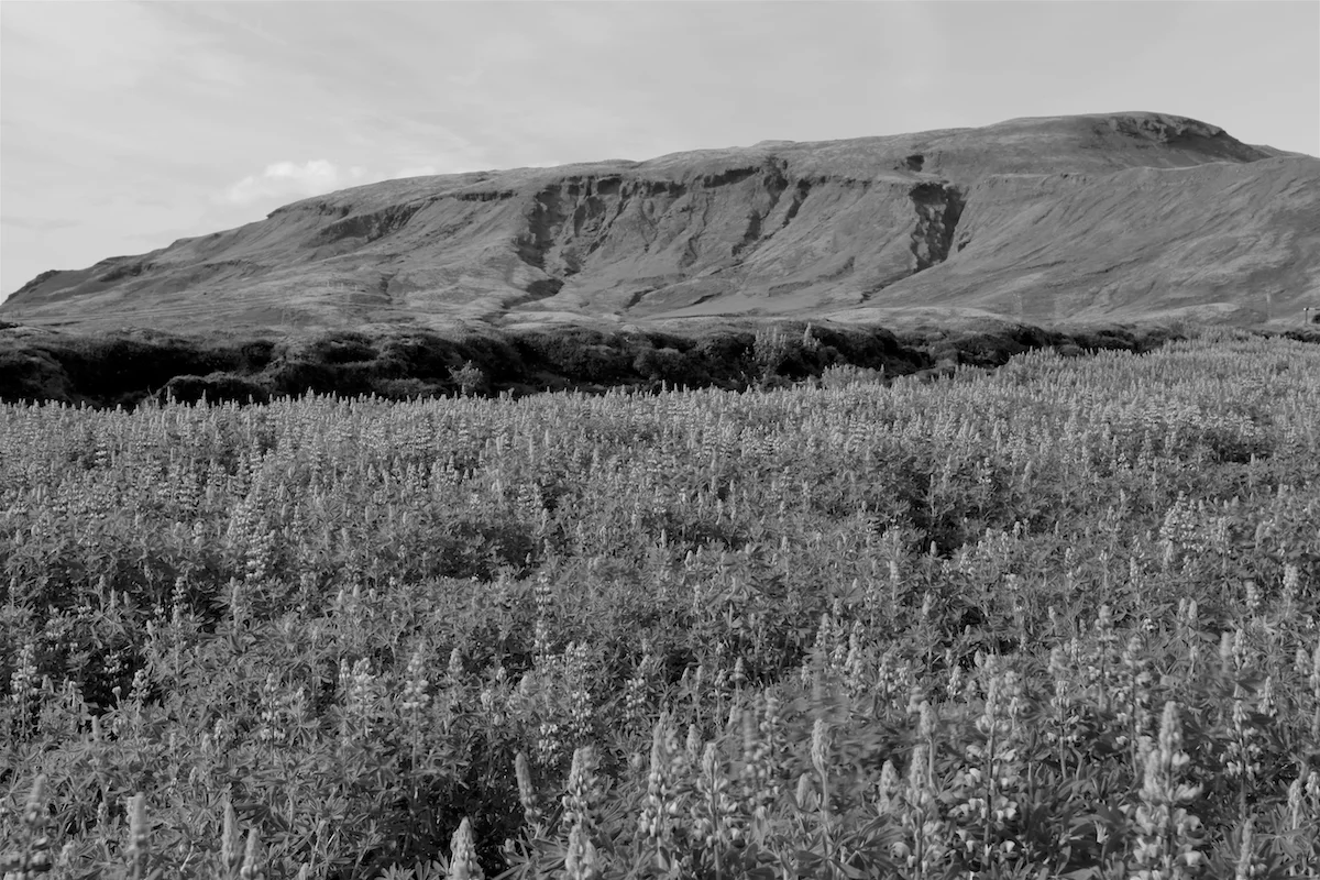 IMG_6795 - Arbeitskopie 2.jpg