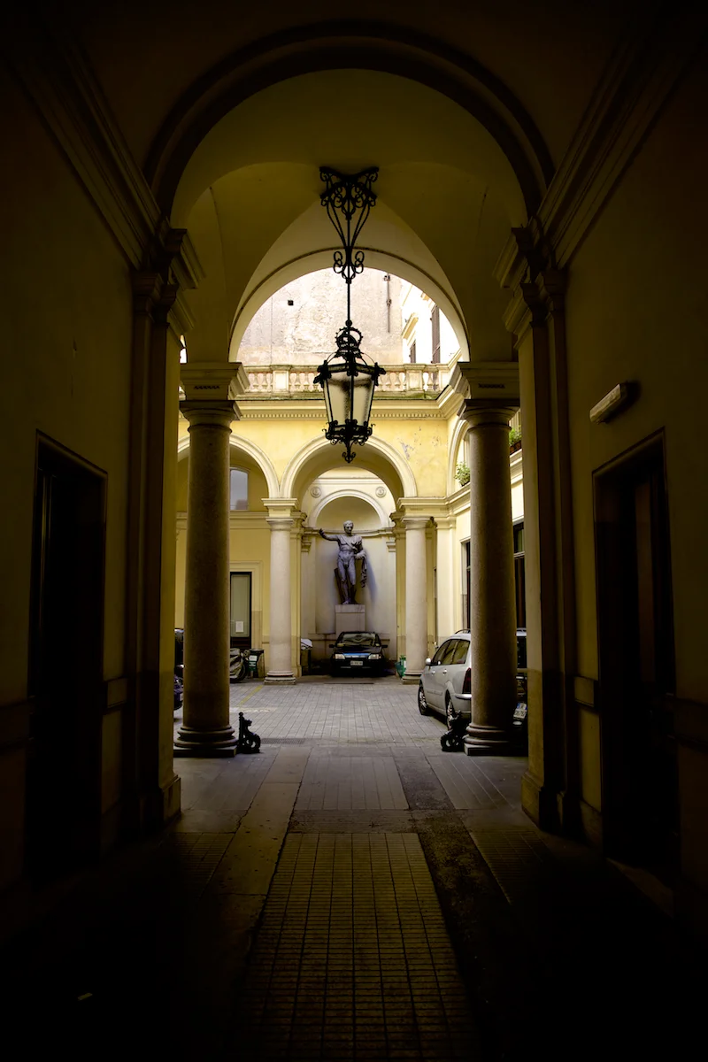 IMG_8880.jpg