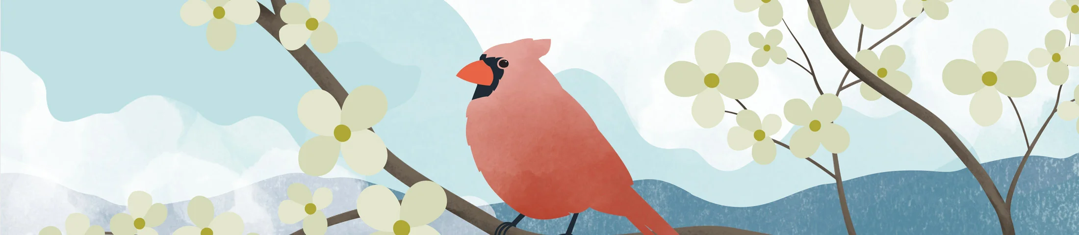 Cardinal-Banner.jpg