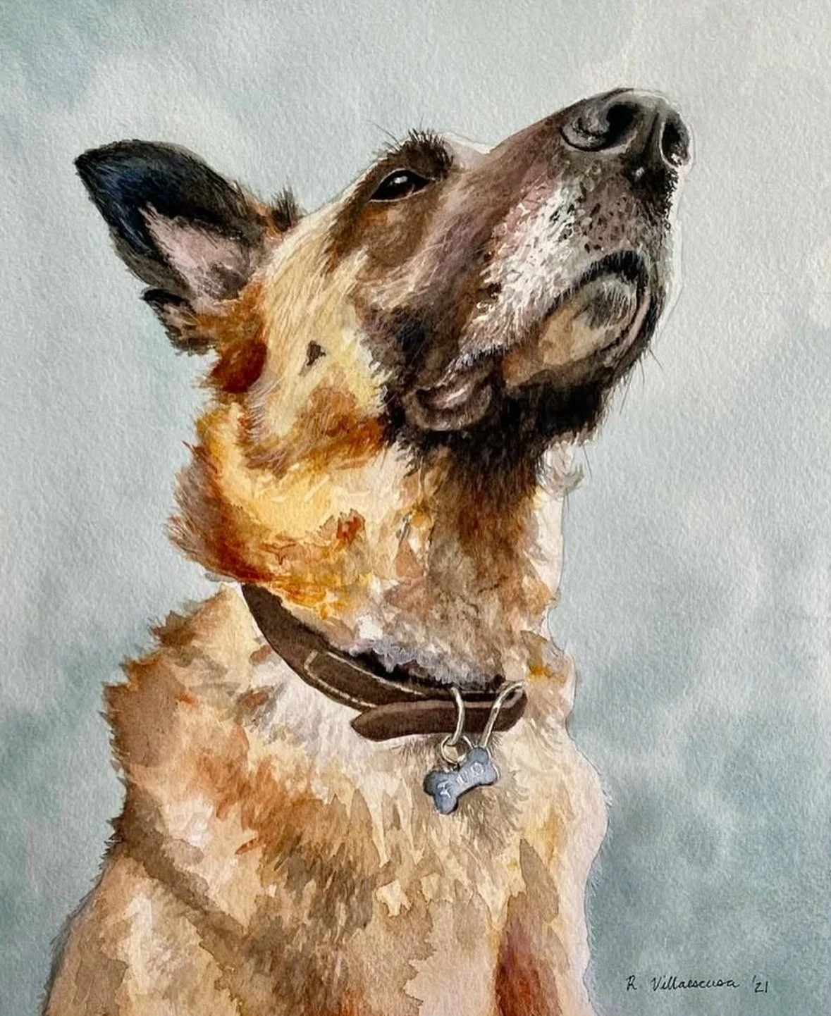 Izzy's Portrait Unveiling - Meet pet portrait artist Rosalynn Arnold!