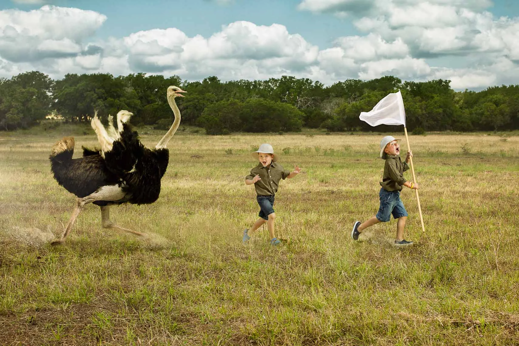 Ostrich-Attack