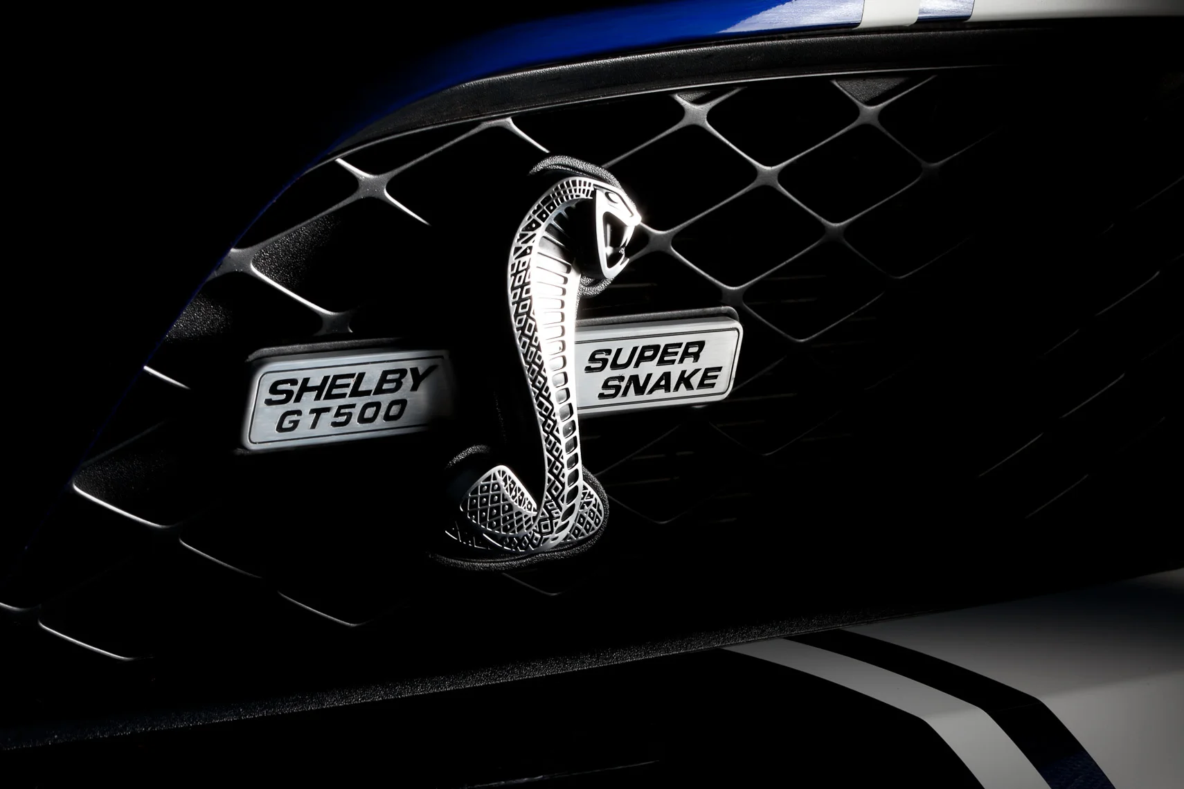 shelby super snake mustang 1