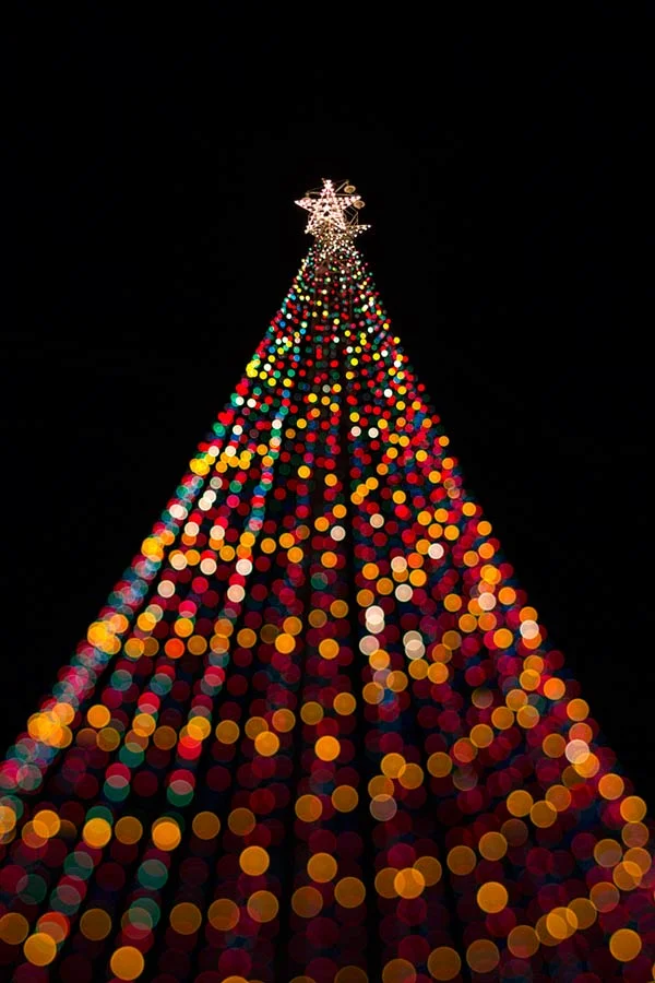 austin trail of lights christmas tree photograph