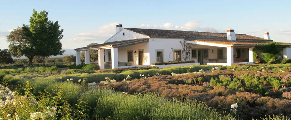 jardines_de_campo.jpg