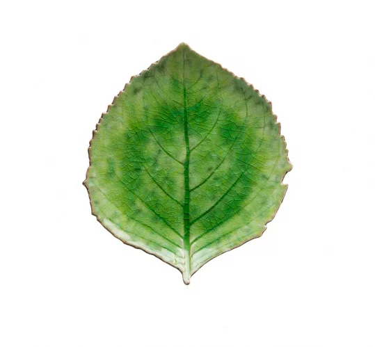 plato-postre-hoja-hortensia-st-tropez-verde.jpg