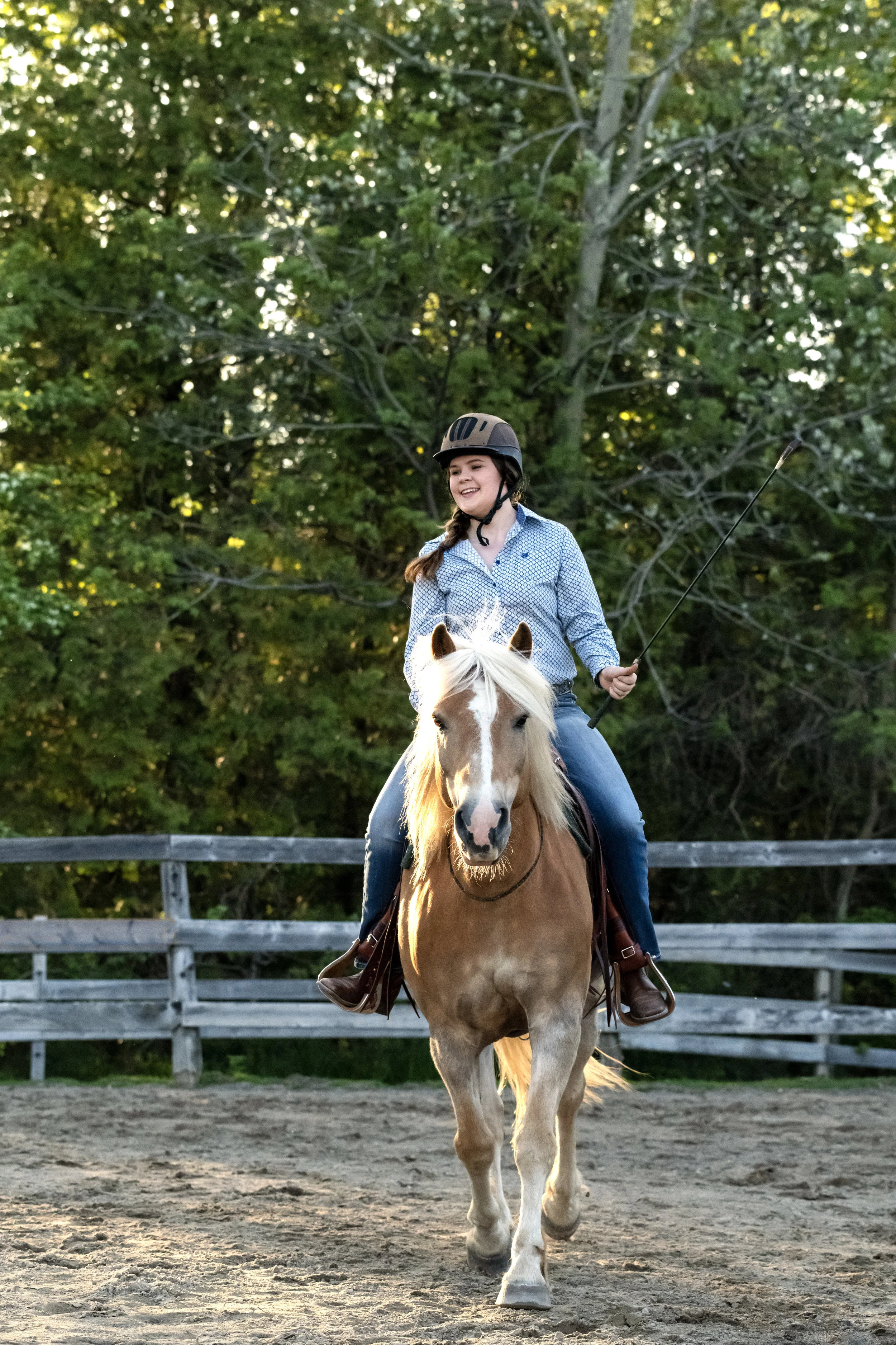 Freestyle Trot.jpg