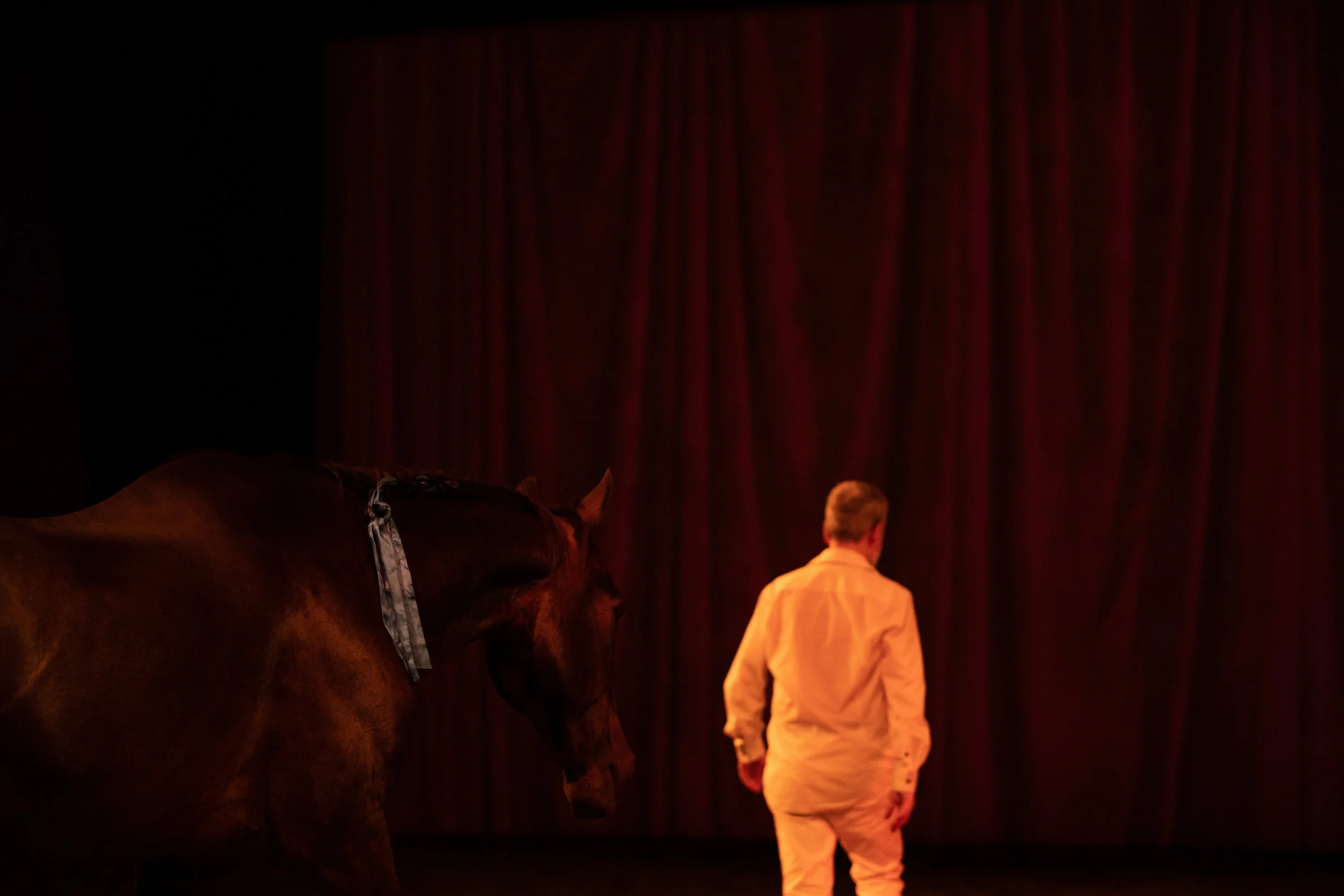 A gentleman from the audience was chosen to demonstrate the join-up technique where a horse, without force or coercion, decides to ‘join-up’ and follow you.