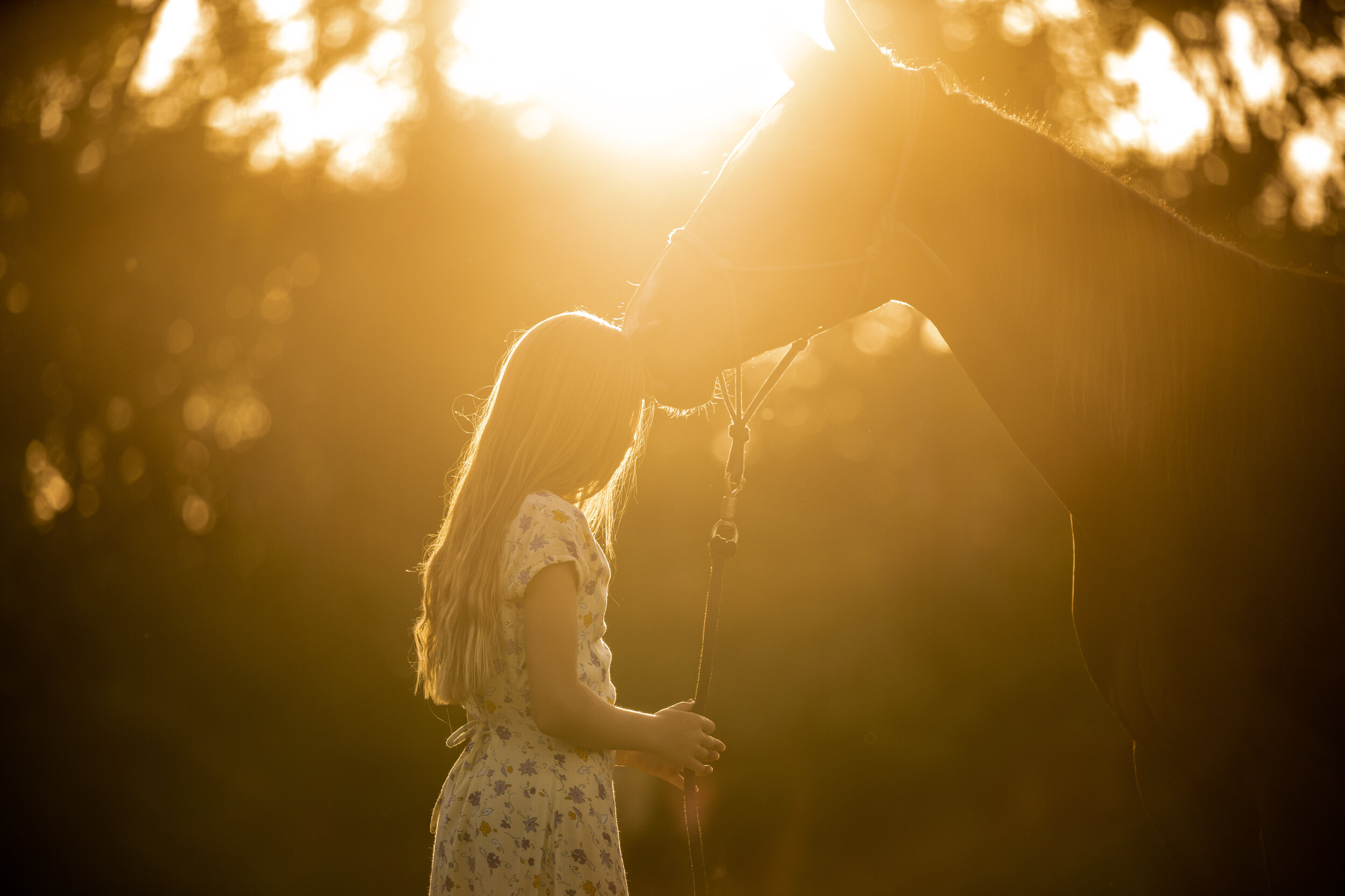 Jemma Sunset Shoot-31.jpg