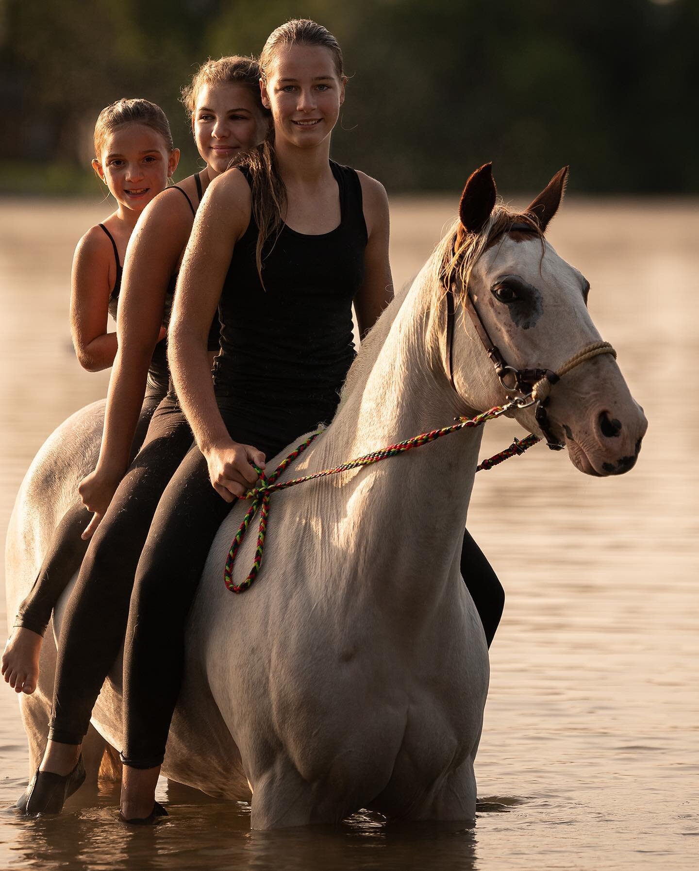 Horses are worth their weight in gold 💛

(Also where is the &lsquo;seahorse&rsquo; emoji?! I could have sworn there was one?? I feel like this is a Berestain Bears situation&hellip; IYKYK lol)