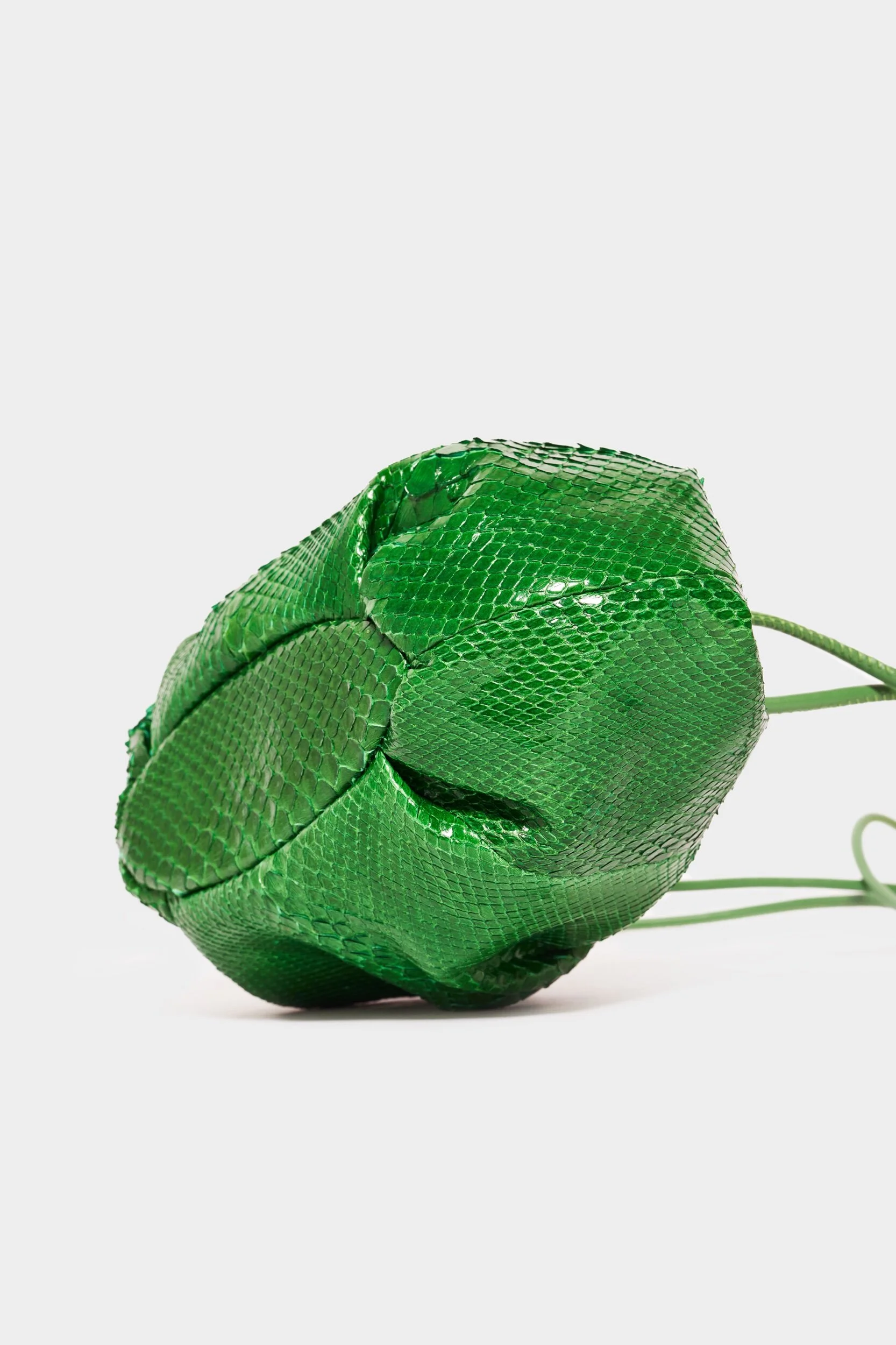 CF61448D-8BAE-4230-B893-861E211A0D5B