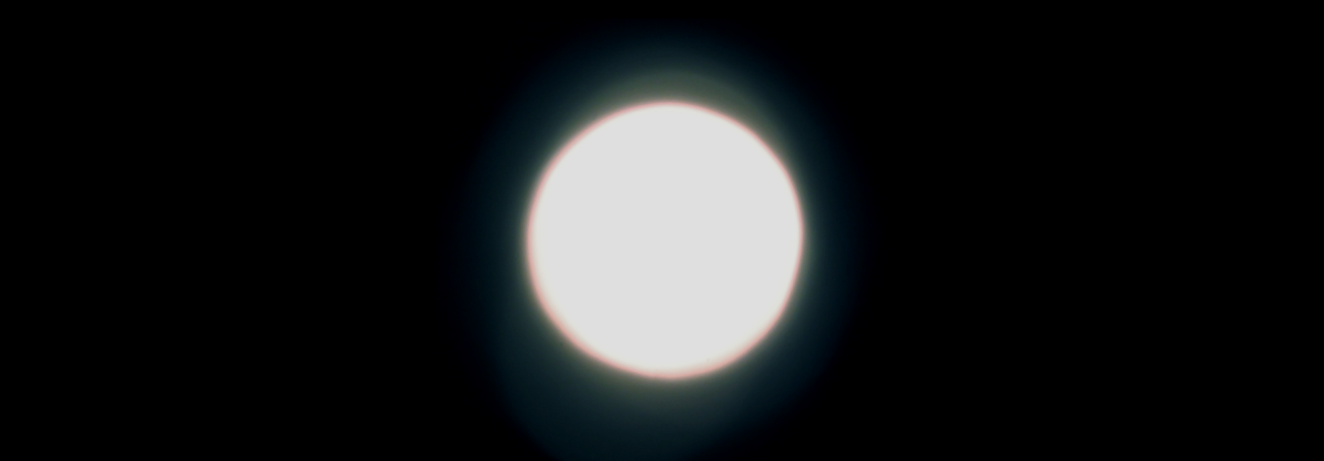 NEARLIGHTLOGO2.png