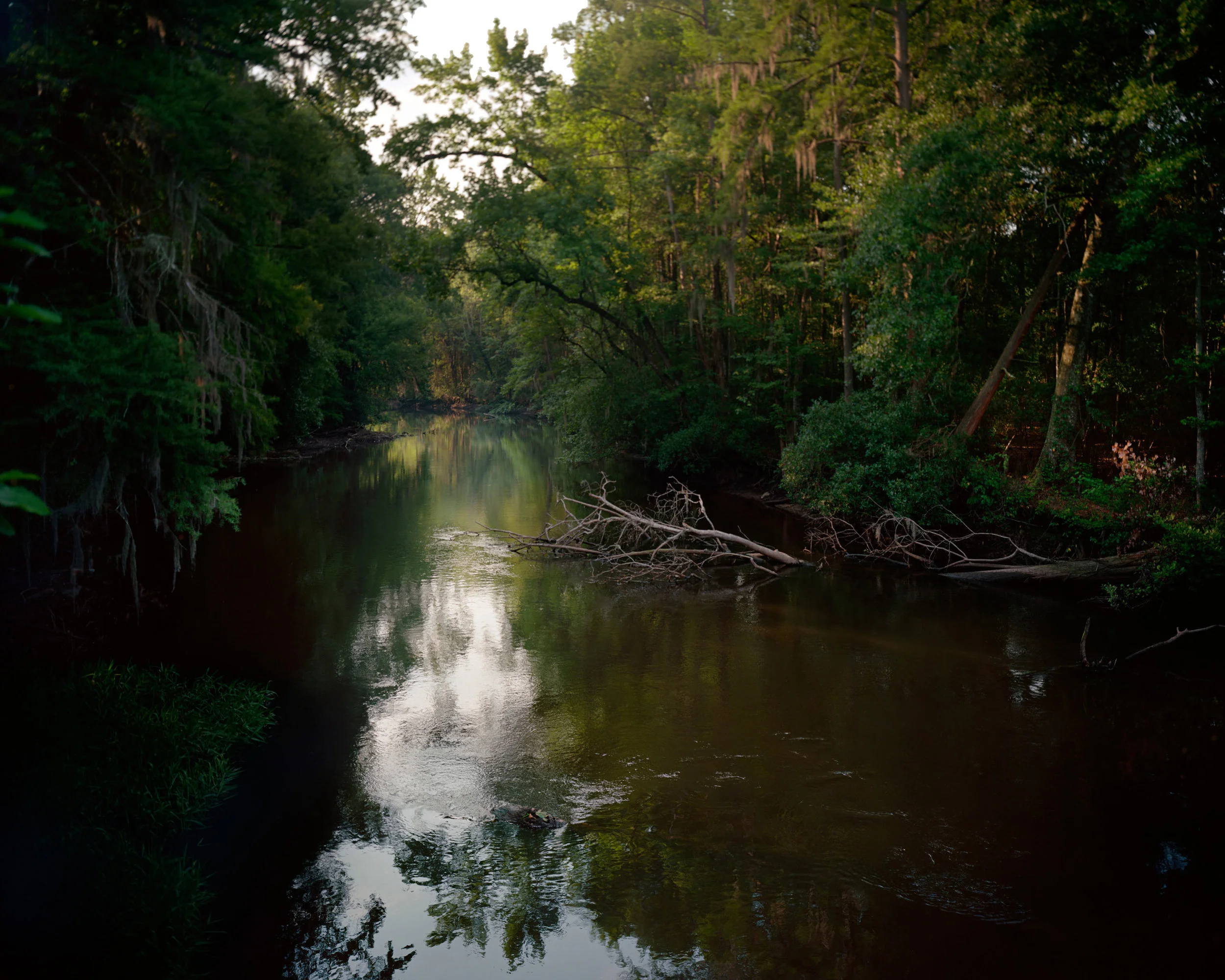 edisto_Page_06.jpg