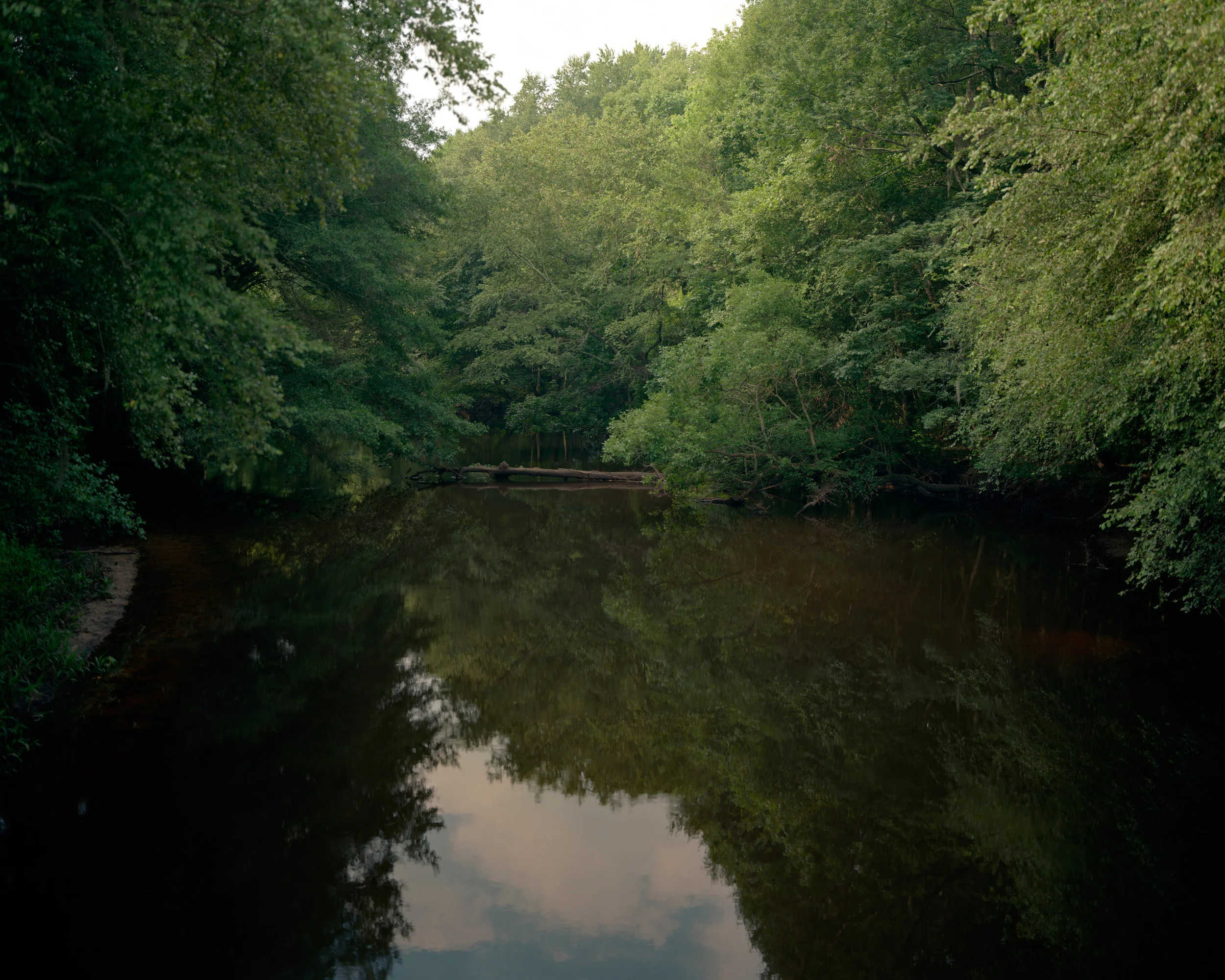 edisto_Page_08.jpg