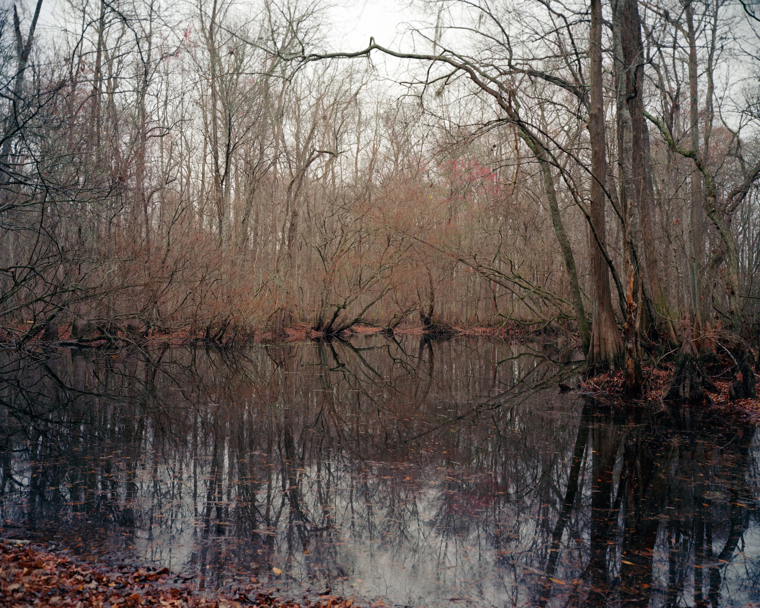 edisto_Page_16.jpg