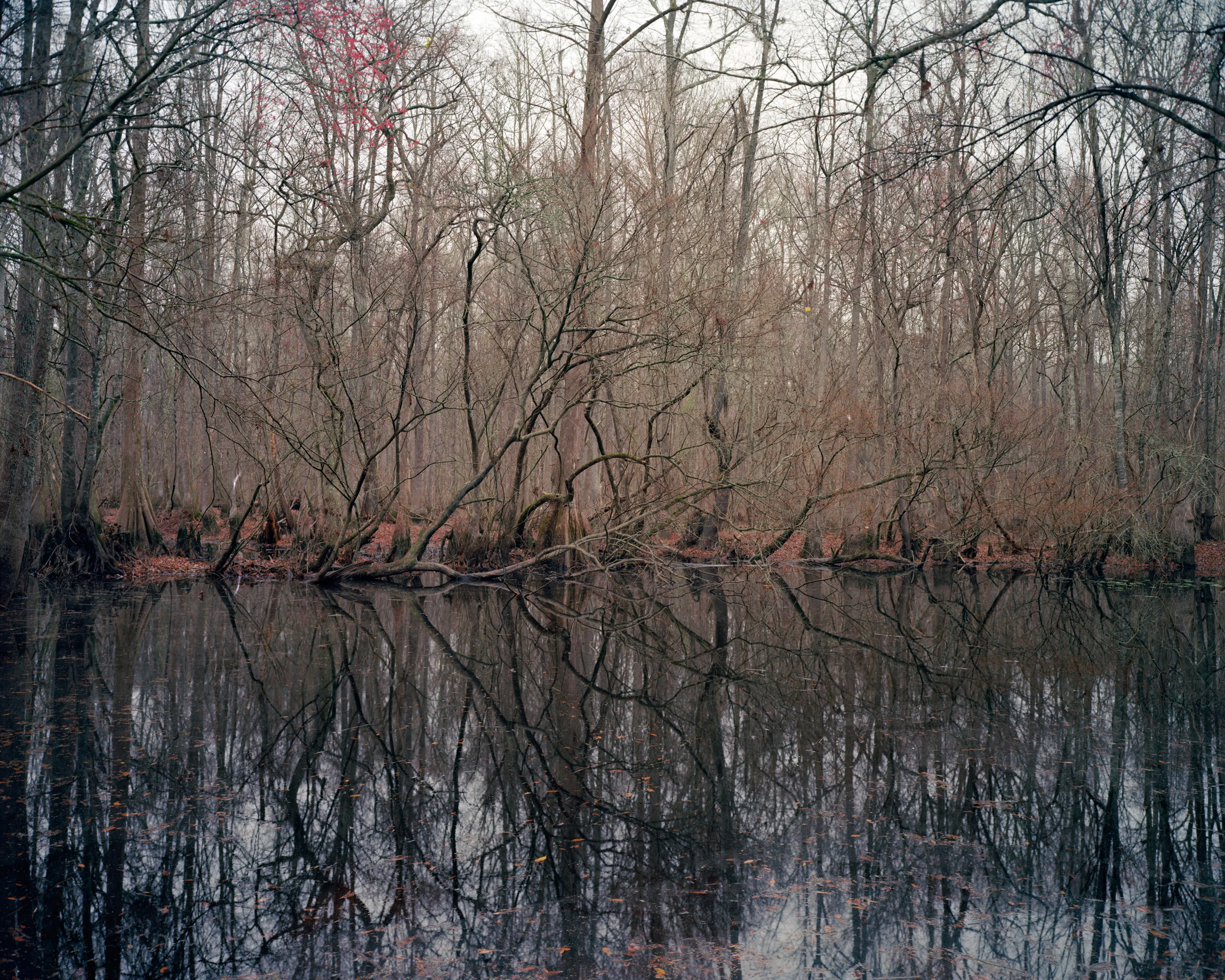 edisto_Page_20.jpg