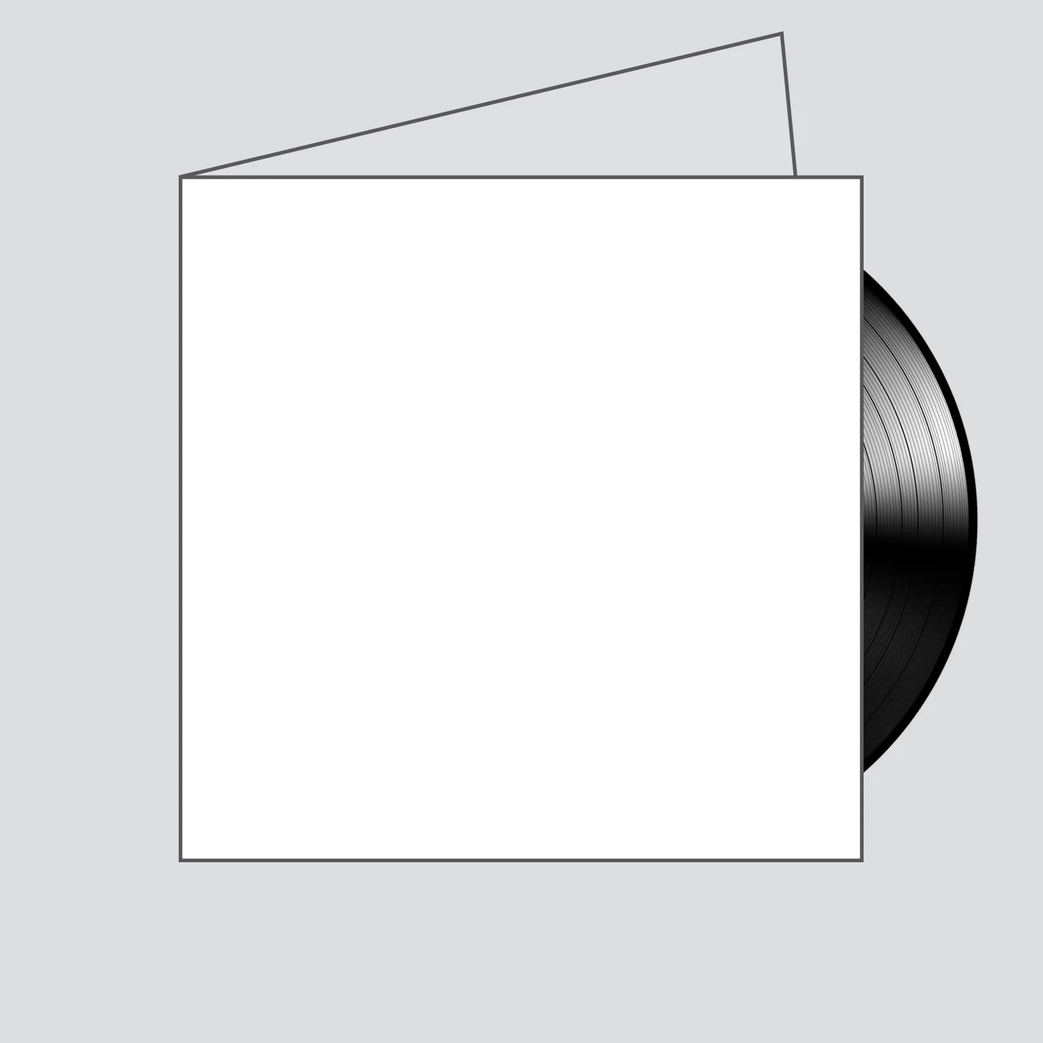 Gatefold jacket. Can hold up to two 12 inch vinyl records.