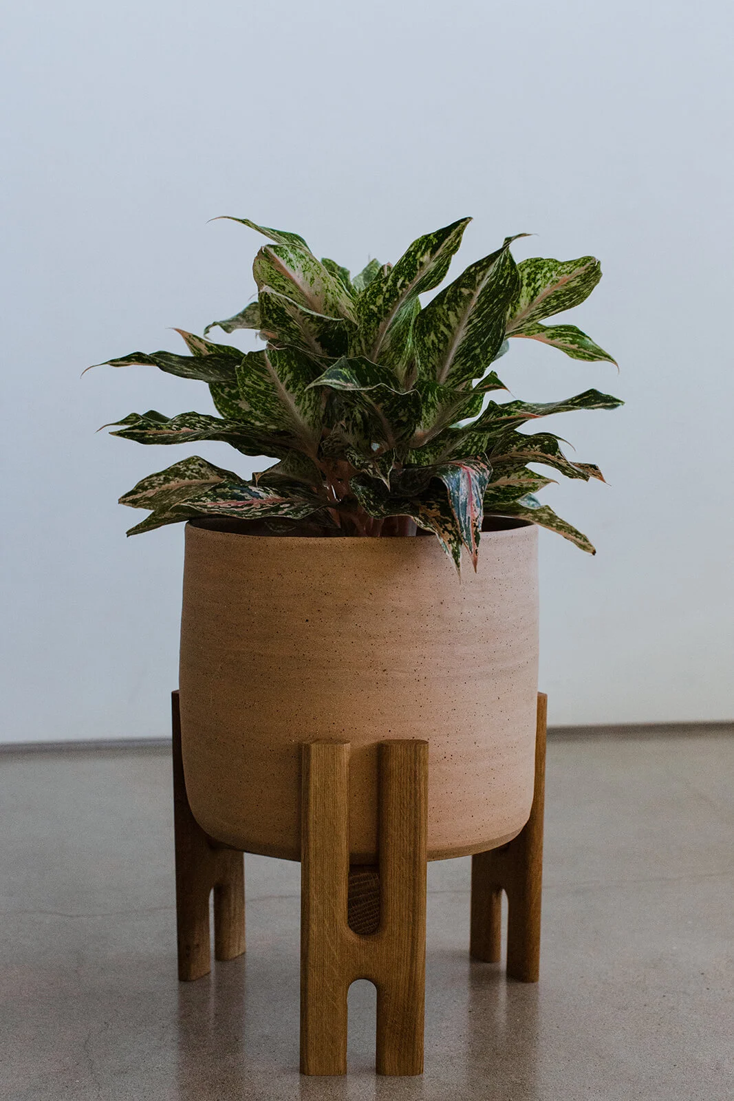 HalfHaltStudio_-129.jpg