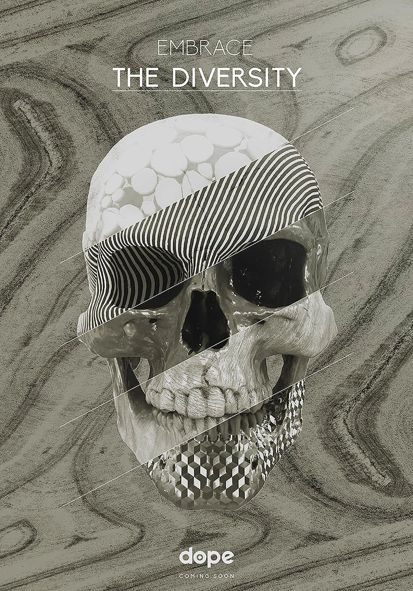 dIVERSITYsKULL_white_version_1K_839.jpg