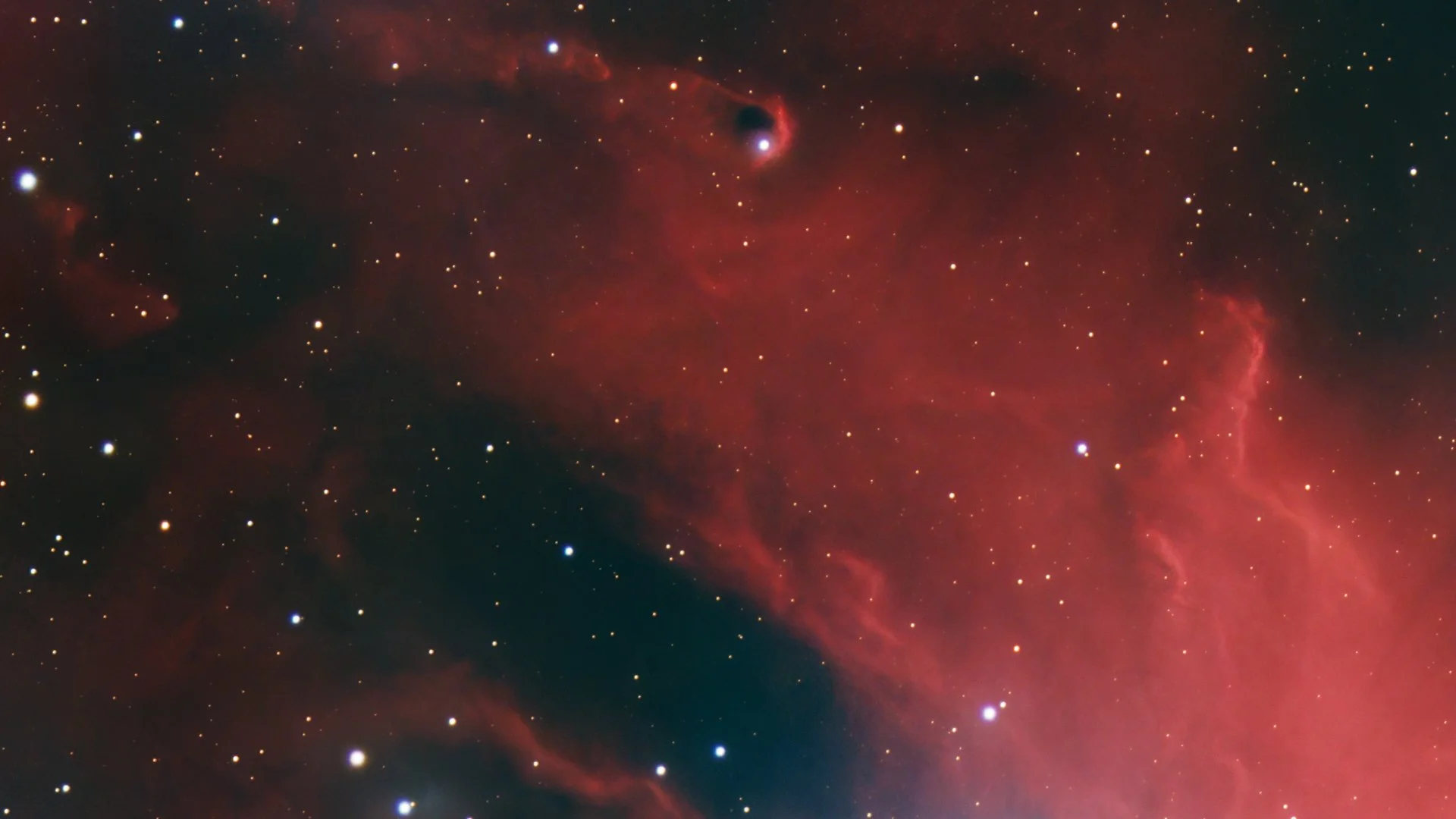 Horsehead_crop003.jpg