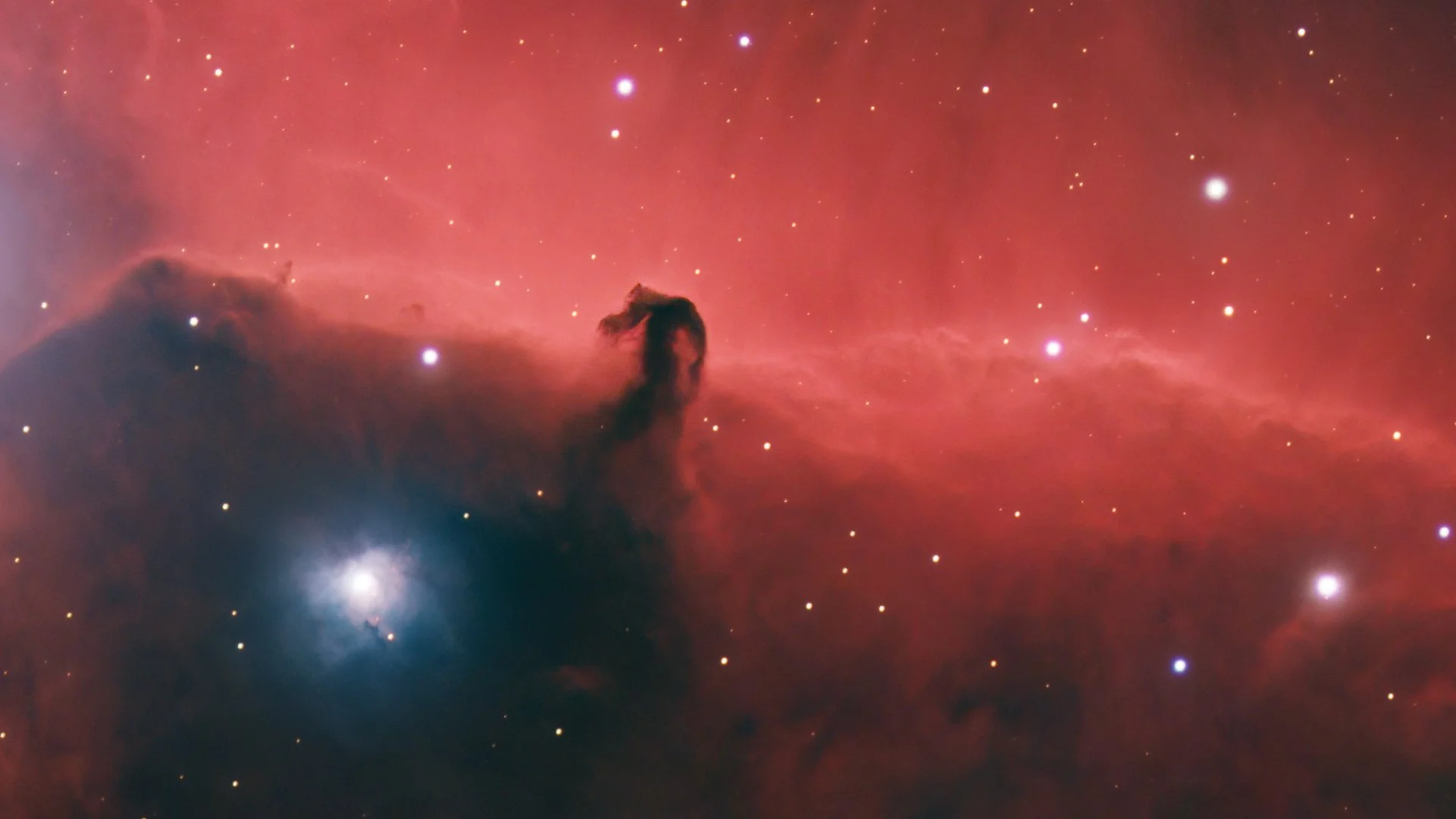 Horsehead_crop001.jpg