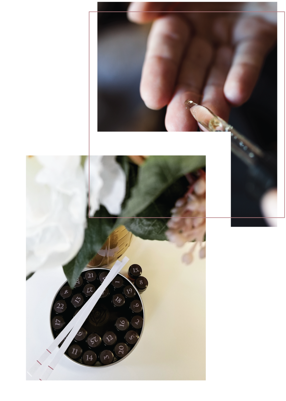 Bobe_Beauty_Saskatoon_perfumery_new.png