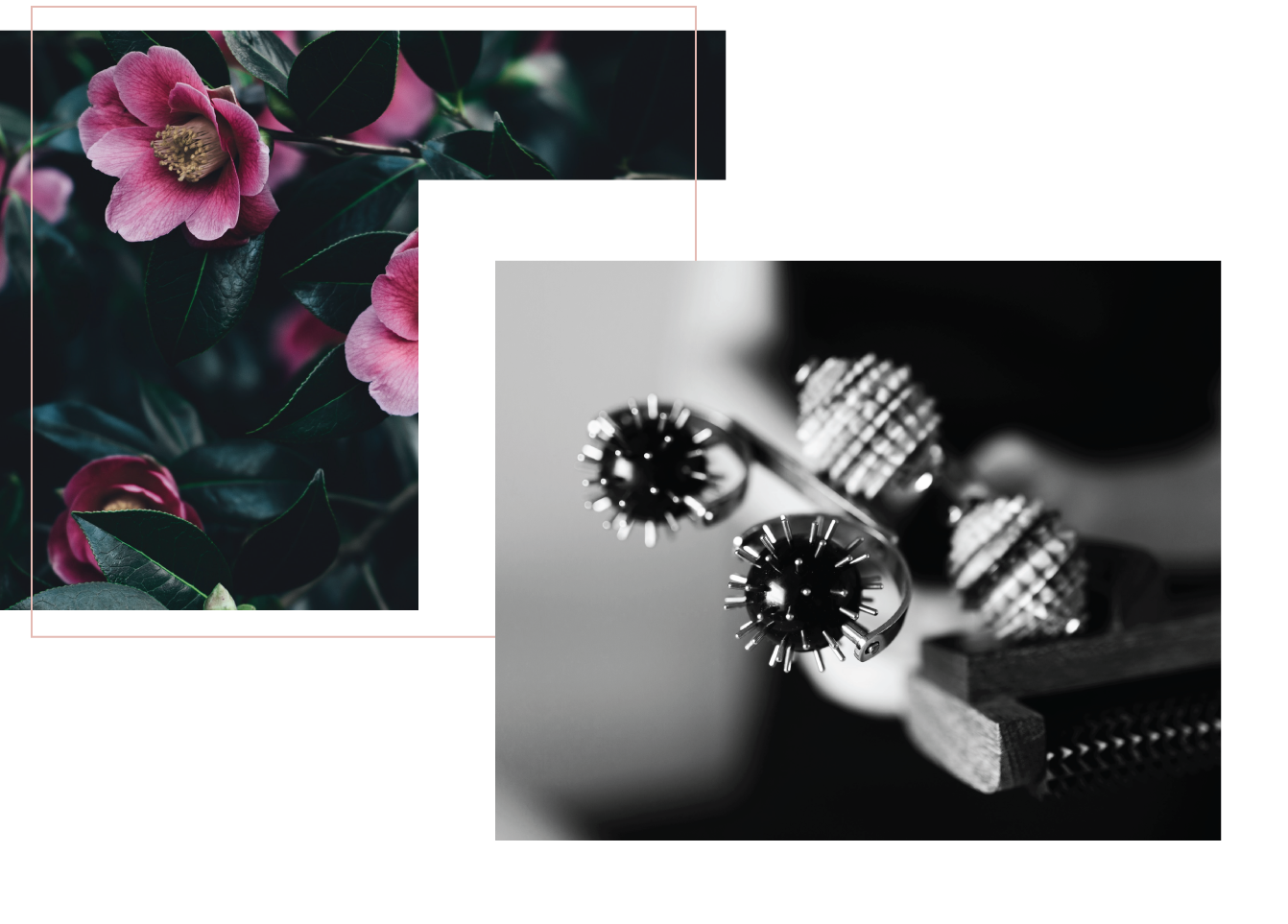 Bobe_Beauty_Saskatoon_book_II.png