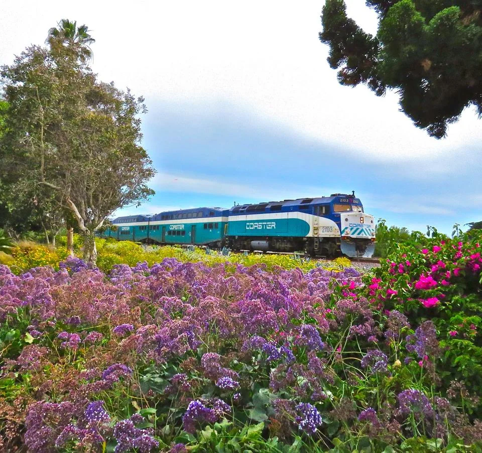 train2.jpg